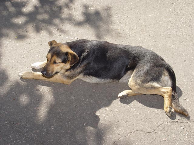 DSC09049