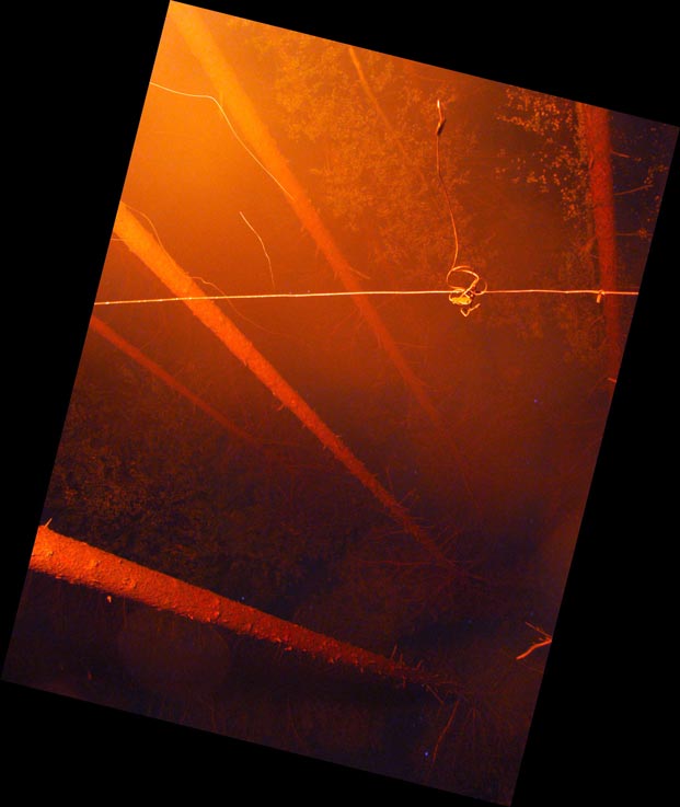 DSC09115
