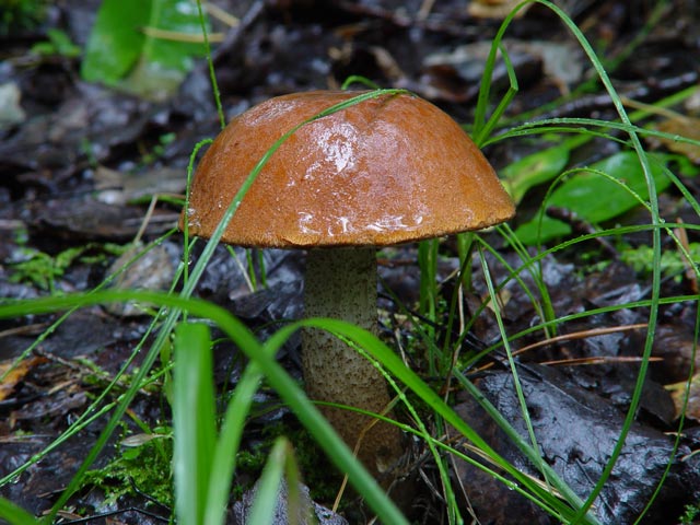 DSC09121