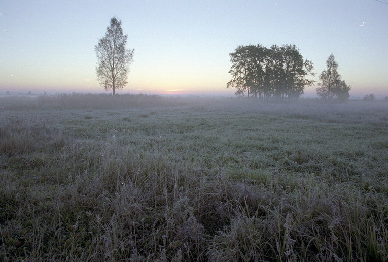 01.jpg