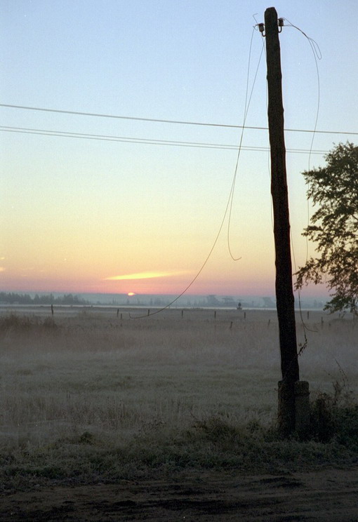03.jpg