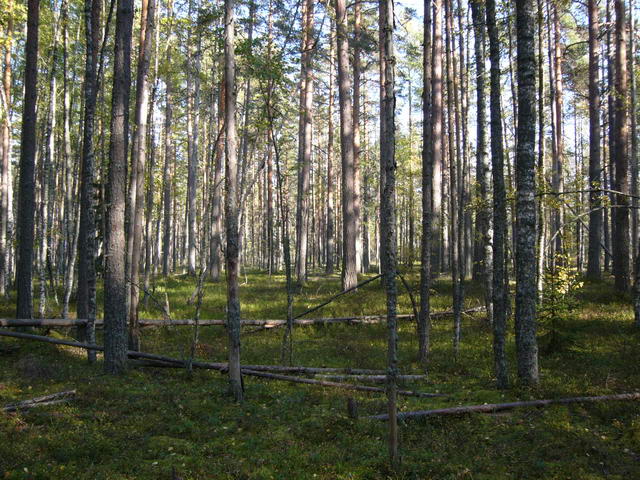P1170050