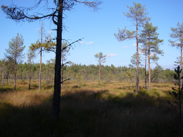 P1170052