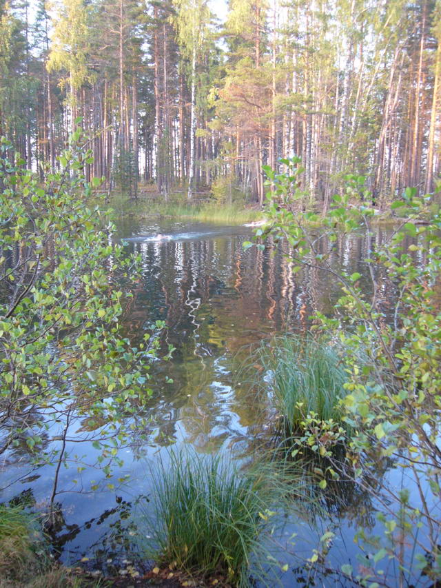 P1170070