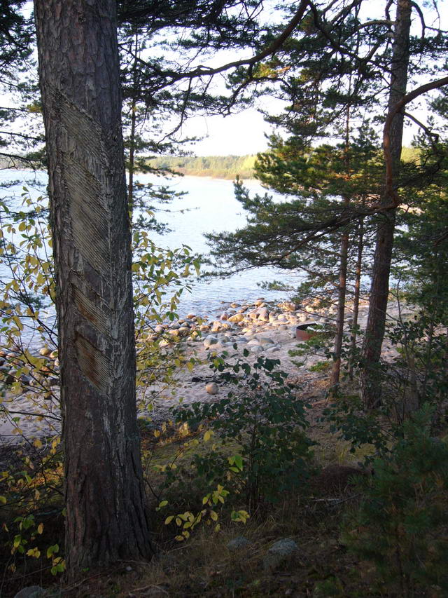 P1170104