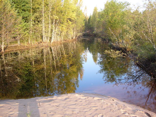 P1170110