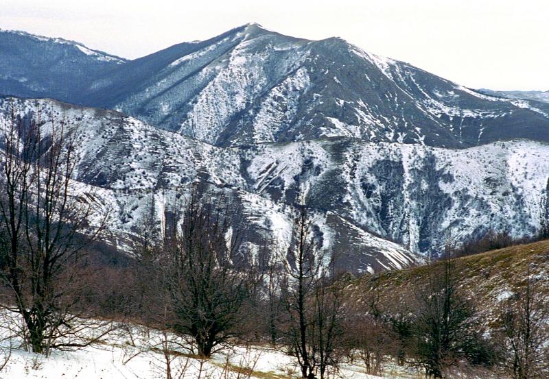 02.jpg
