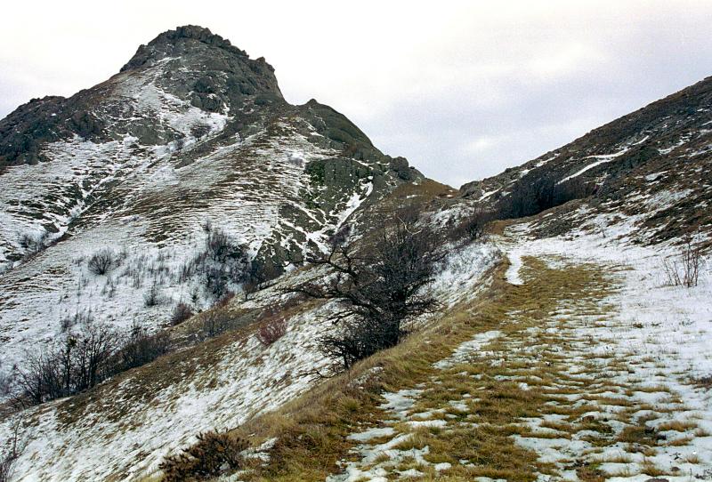 05.jpg